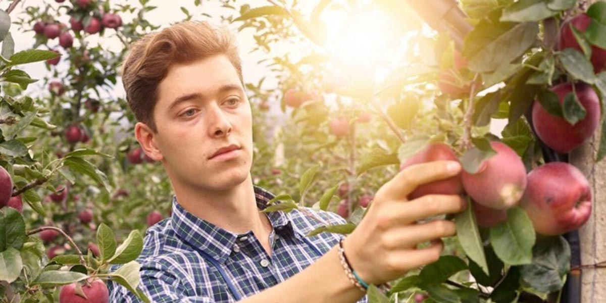 Vog Products, il fatturato sfiora i 130 milioni di euro